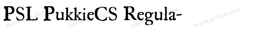 PSL PukkieCS Regula字体转换